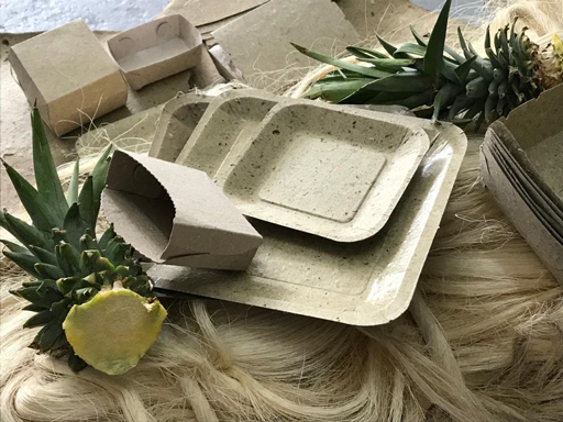 Vajilla germinable LifePack hecha de coronas de piña